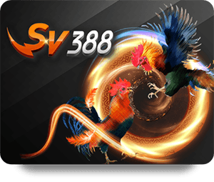 Trở Thành Thành Viên BK8 Casino Đẳng Cấp Để Nhận Quà Hấp Dẫn